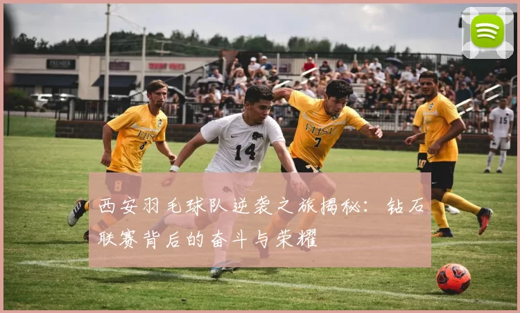 西安羽毛球队逆袭之旅揭秘：钻石联赛背后的奋斗与荣耀
