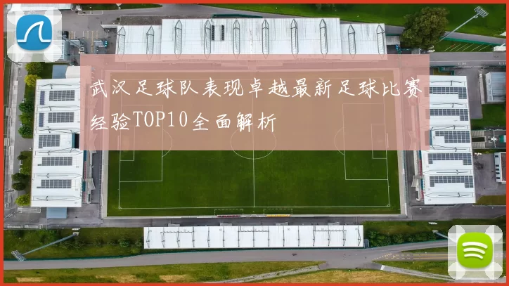 武汉足球队表现卓越最新足球比赛经验TOP10全面解析