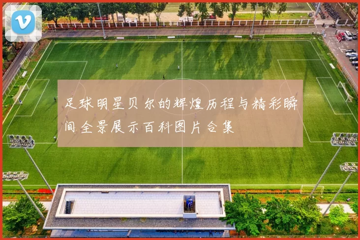 足球明星贝尔的辉煌历程与精彩瞬间全景展示百科图片合集