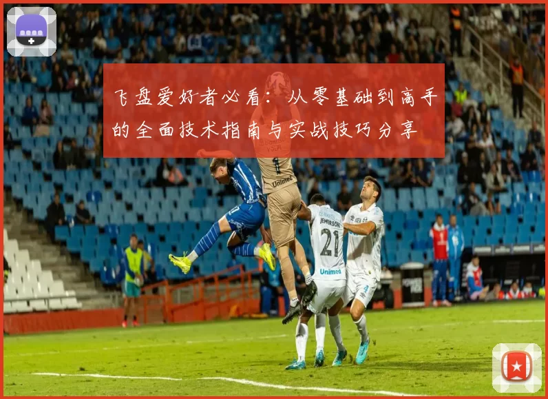 飞盘爱好者必看：从零基础到高手的全面技术指南与实战技巧分享