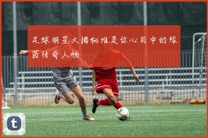 足球明星大揭秘谁是你心目中的绿茵传奇人物