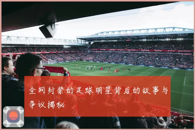 全网封禁的足球明星背后的故事与争议揭秘