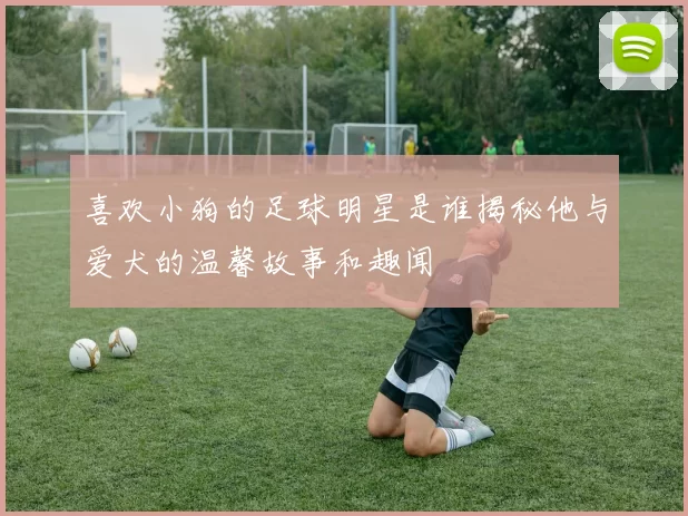 喜欢小狗的足球明星是谁揭秘他与爱犬的温馨故事和趣闻