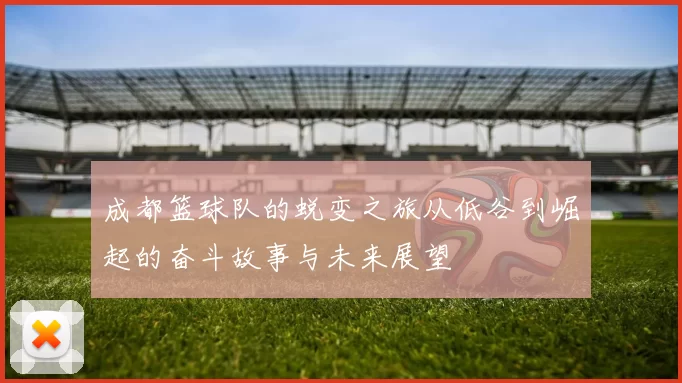 成都篮球队的蜕变之旅从低谷到崛起的奋斗故事与未来展望