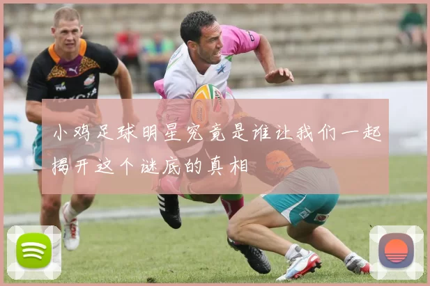 小鸡足球明星究竟是谁让我们一起揭开这个谜底的真相