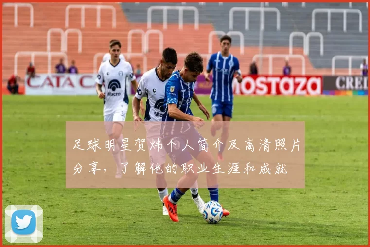 足球明星贺炜个人简介及高清照片分享，了解他的职业生涯和成就
