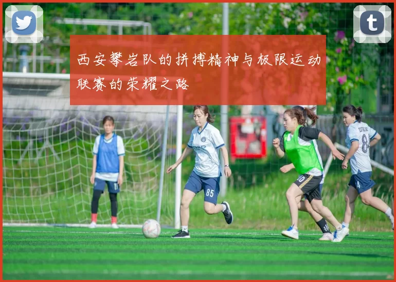 西安攀岩队的拼搏精神与极限运动联赛的荣耀之路