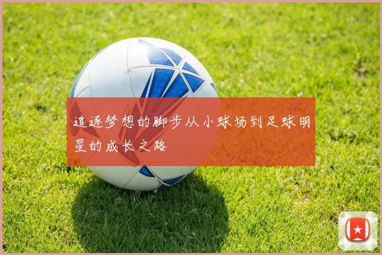追逐梦想的脚步从小球场到足球明星的成长之路