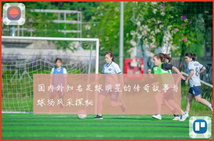 国内外知名足球明星的传奇故事与球场风采探秘
