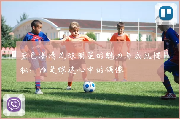 蓝色港湾足球明星的魅力与成就揭秘，谁是球迷心中的偶像