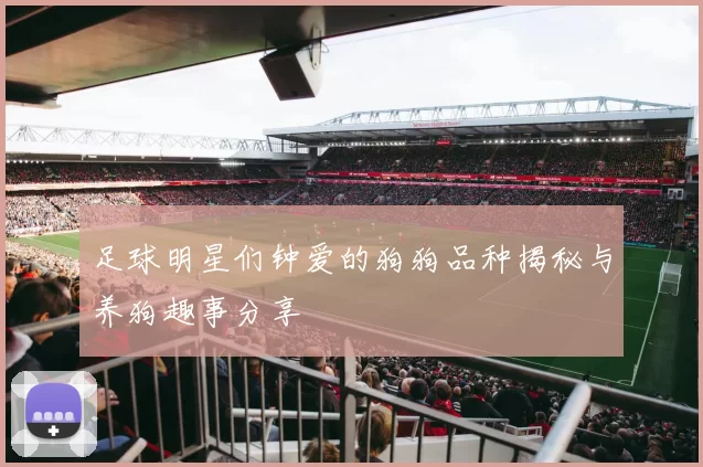 足球明星们钟爱的狗狗品种揭秘与养狗趣事分享