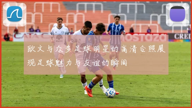 欧文与众多足球明星的高清合照展现足球魅力与友谊的瞬间