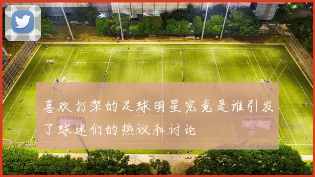 喜欢打架的足球明星究竟是谁引发了球迷们的热议和讨论