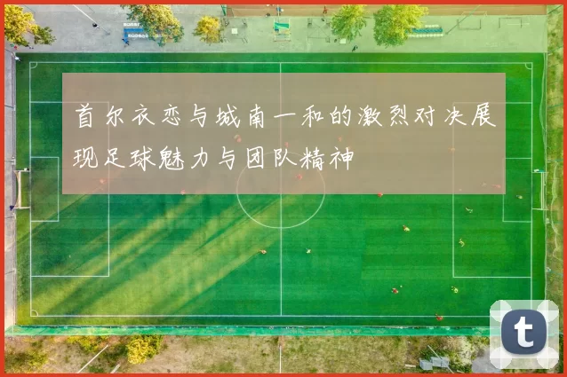 首尔衣恋与城南一和的激烈对决展现足球魅力与团队精神