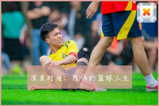 深度对话：陈伟的篮球人生