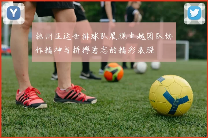 杭州亚运会排球队展现卓越团队协作精神与拼搏意志的精彩表现